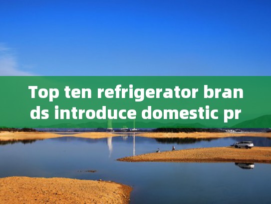 Top ten refrigerator brands introduce domestic products
