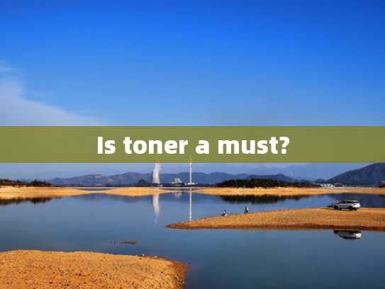 Is toner a must?